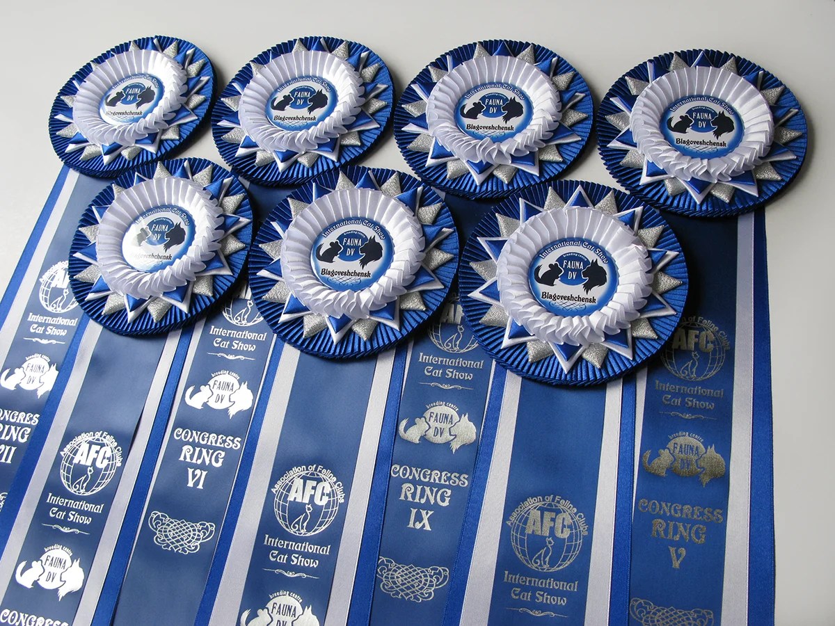 Наградная розетка «Галактика»