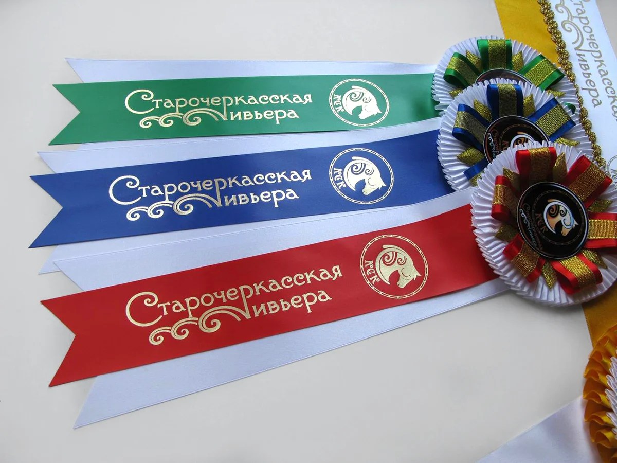 Наградная розетка «Дебют-2»