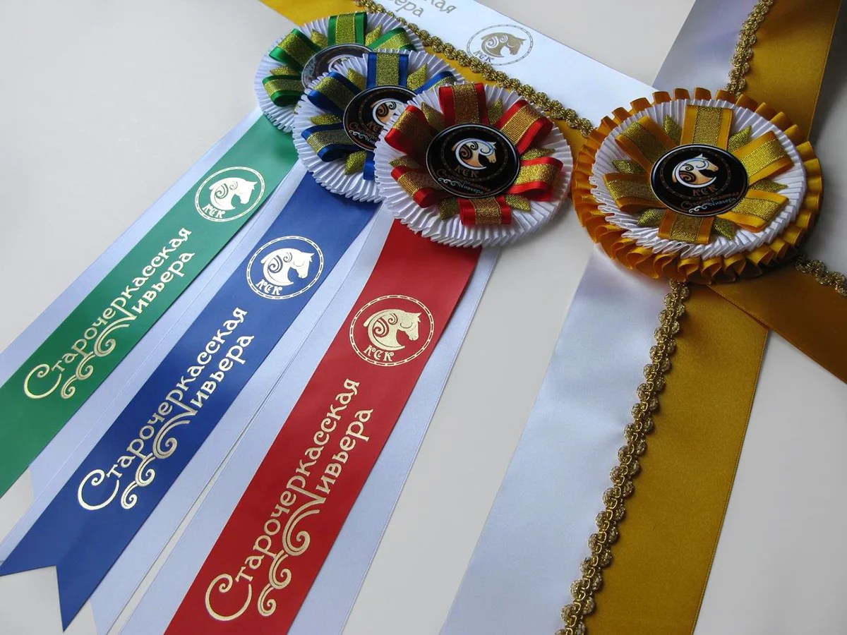 Наградная розетка «Дебют-2»