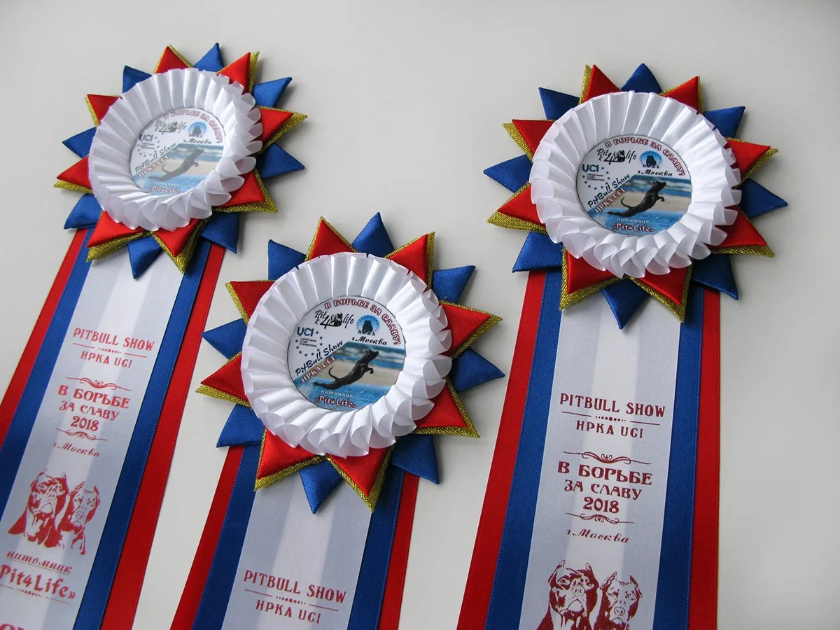 Наградная розетка «Комета»