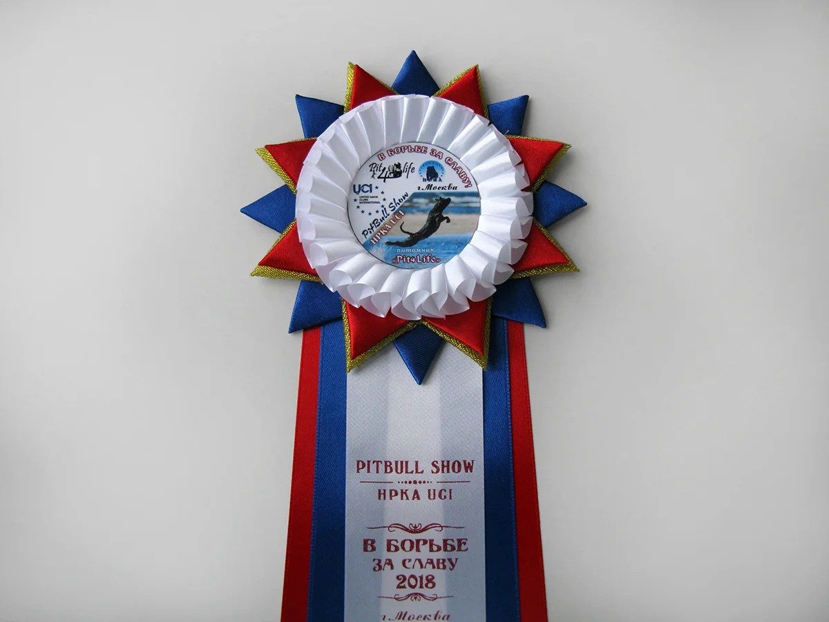 Наградная розетка «Комета»