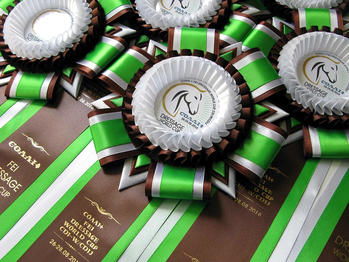 Наградная розетка «Волноваха»