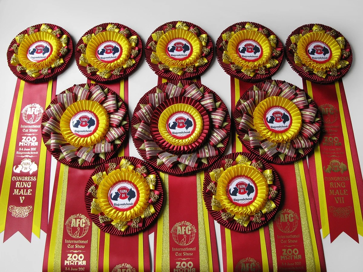 Наградная розетка «Надежда-3»