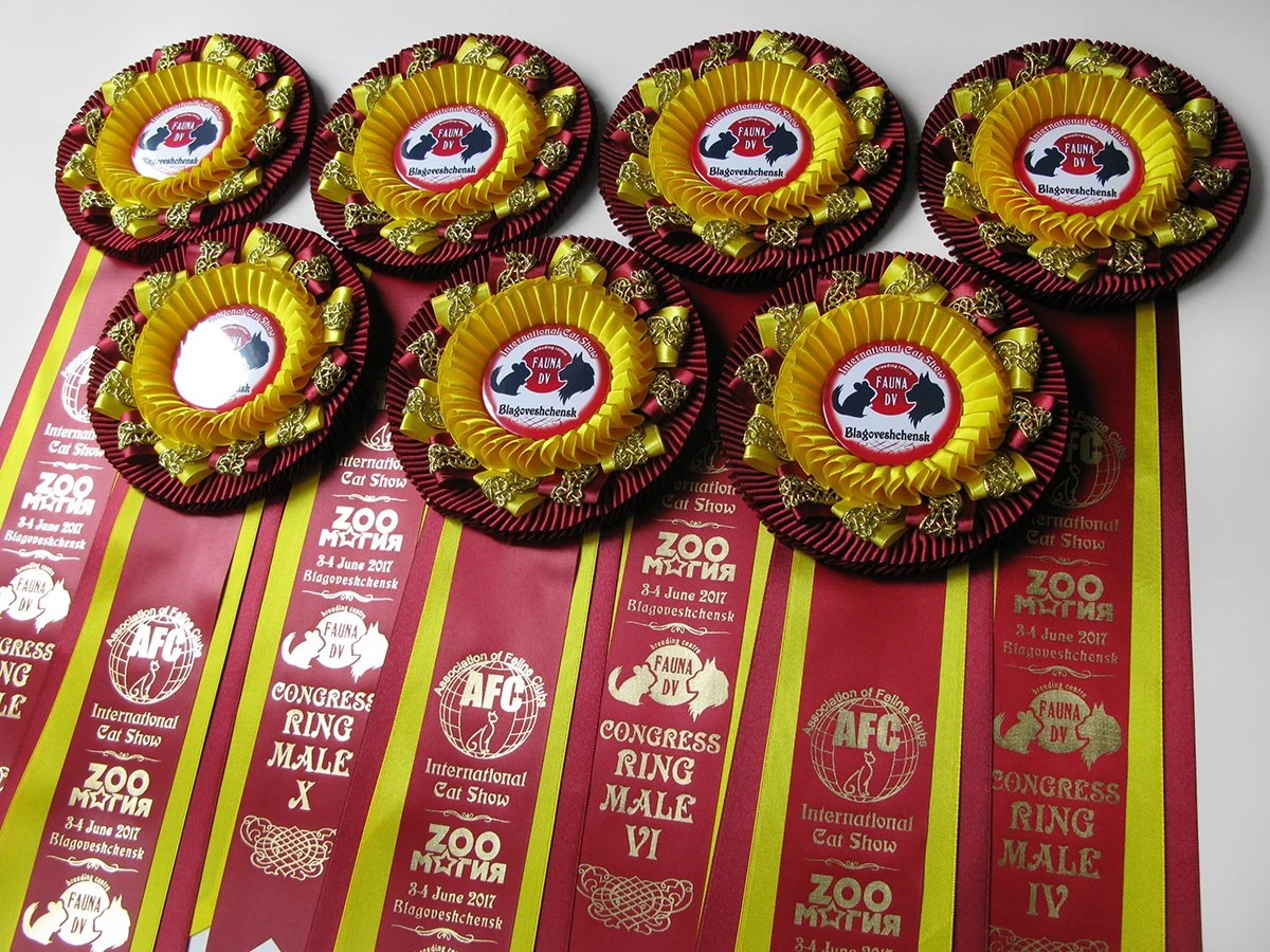 Наградная розетка «Надежда-3»