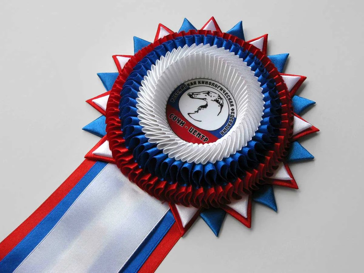 Наградная розетка «Дончанка»