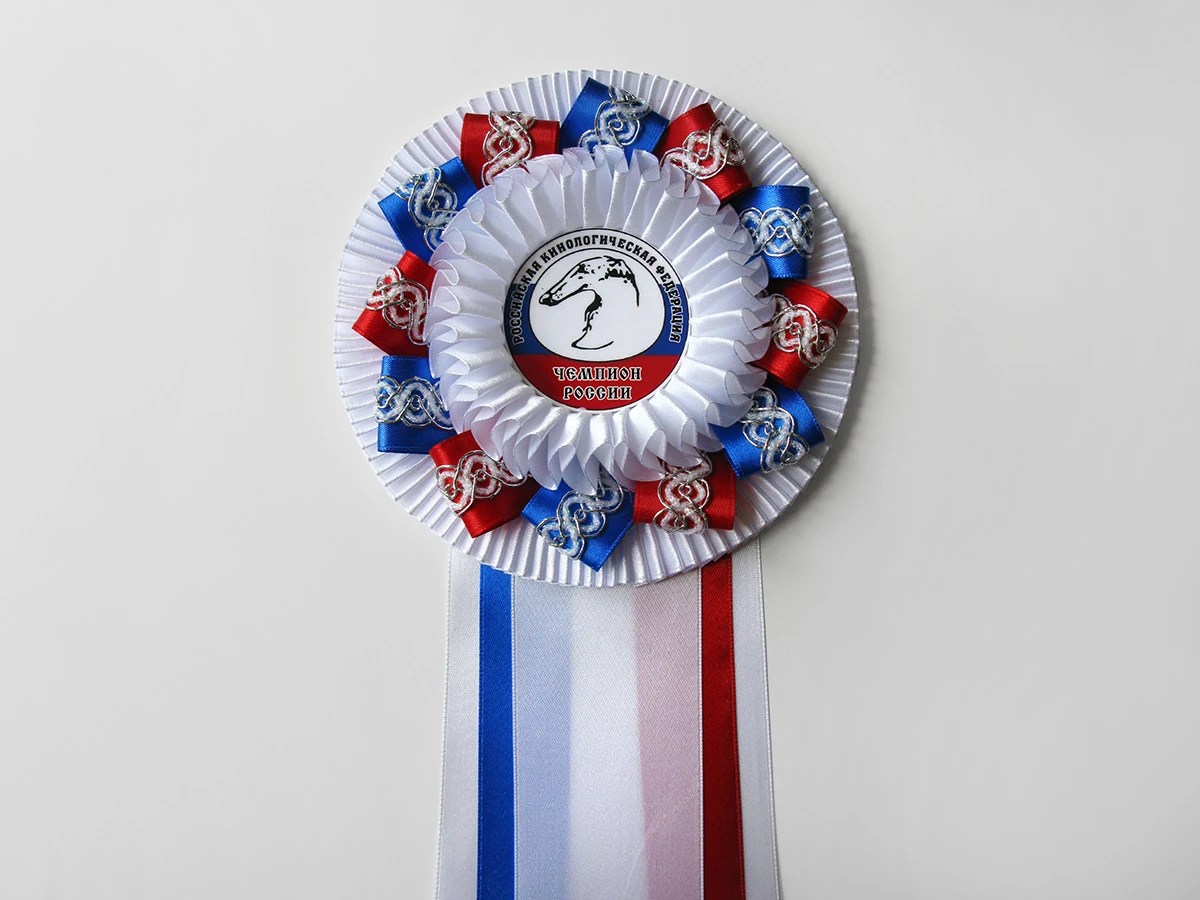 Наградная розетка «Надежда-3»