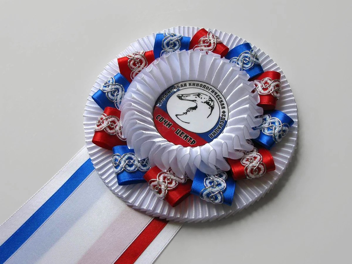 Наградная розетка «Надежда-3»