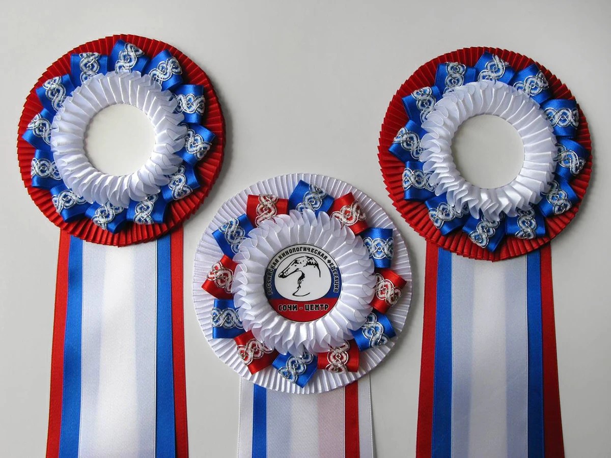 Наградная розетка «Надежда-3»