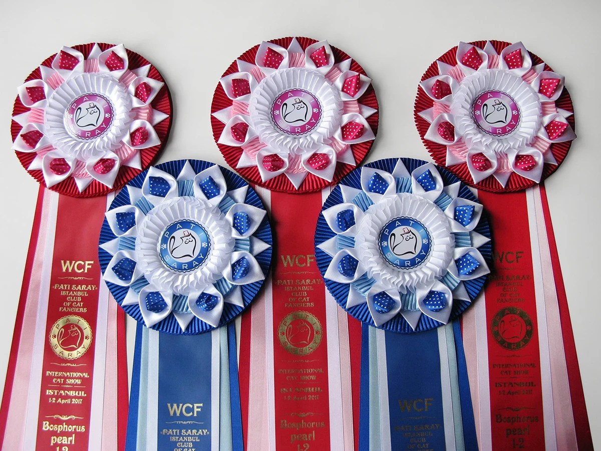 Наградная розетка Машенька-2