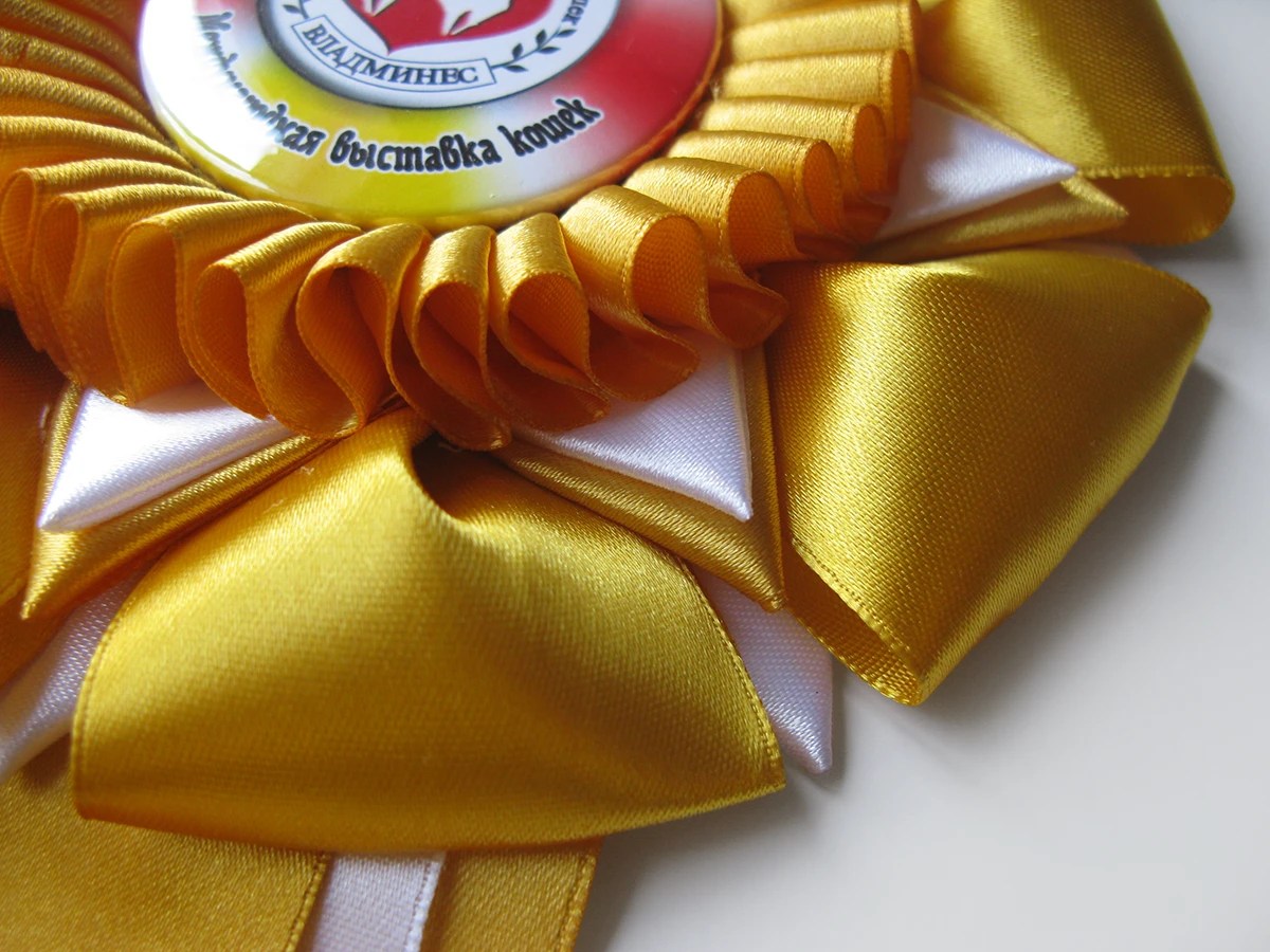 Наградная розетка Фантазия