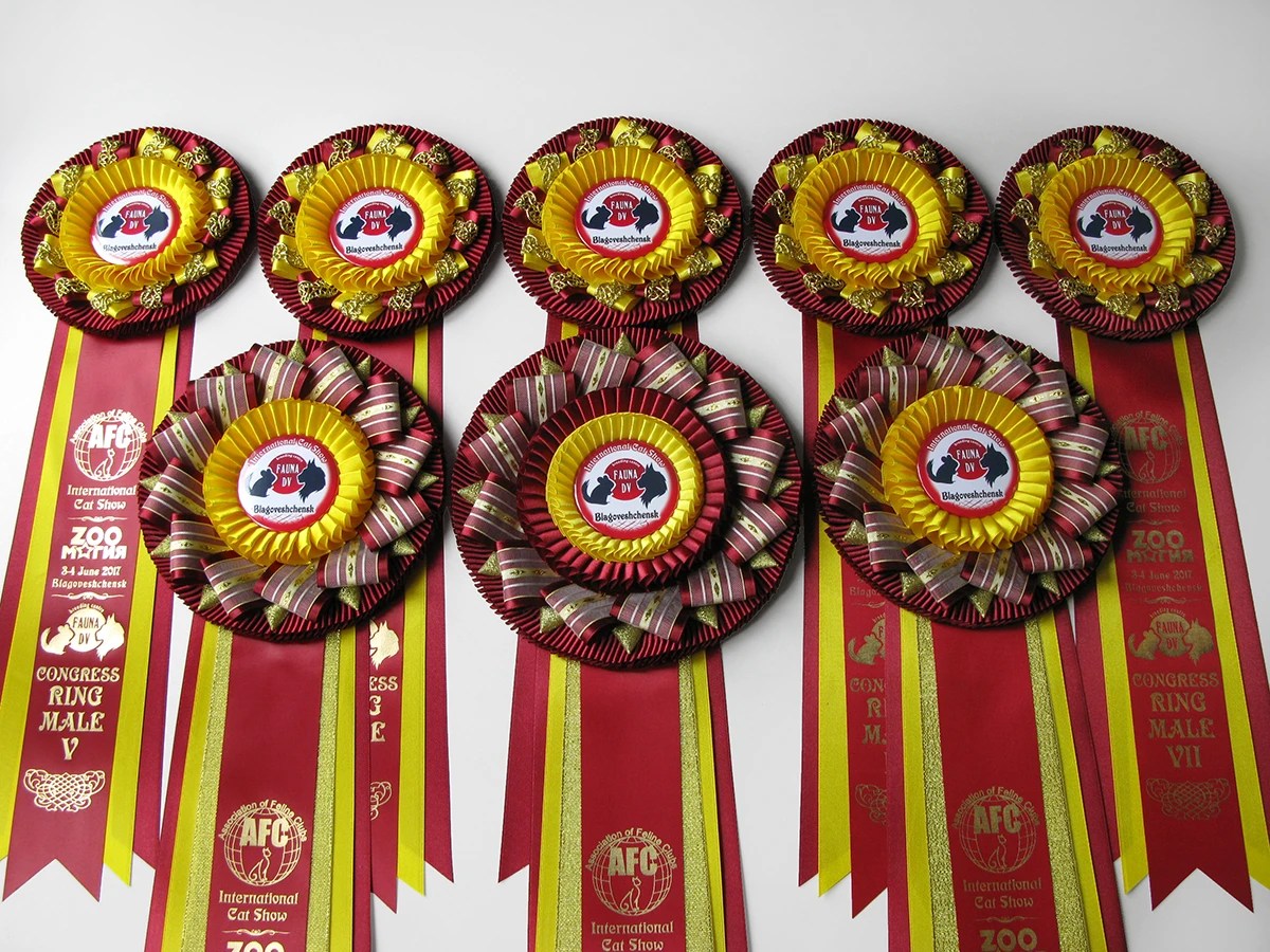 Розетки «Надежда-1», «Надежда-2» и «Надежда-3»