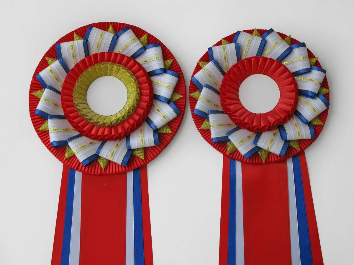 Розетки «Надежда-1» и «Надежда-2»