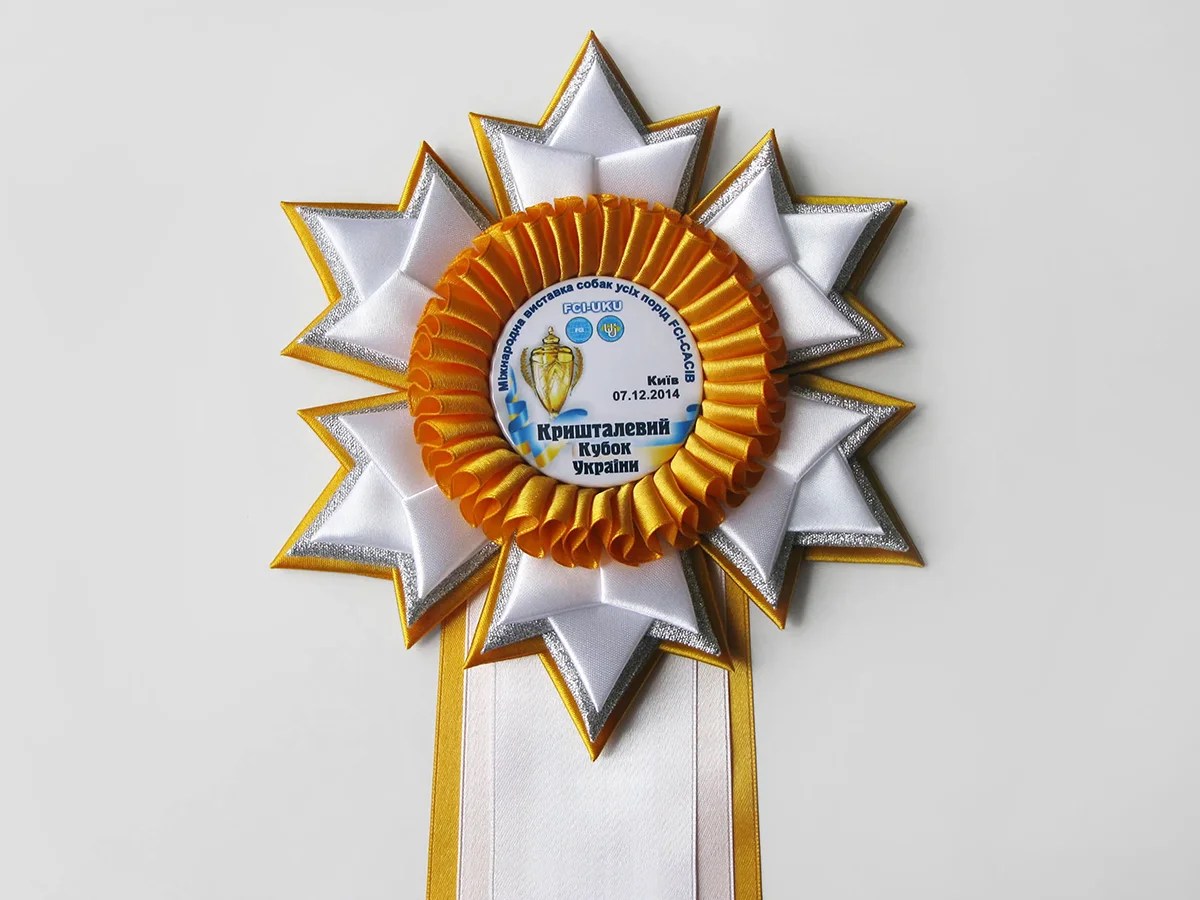 Наградная розетка Зима-4