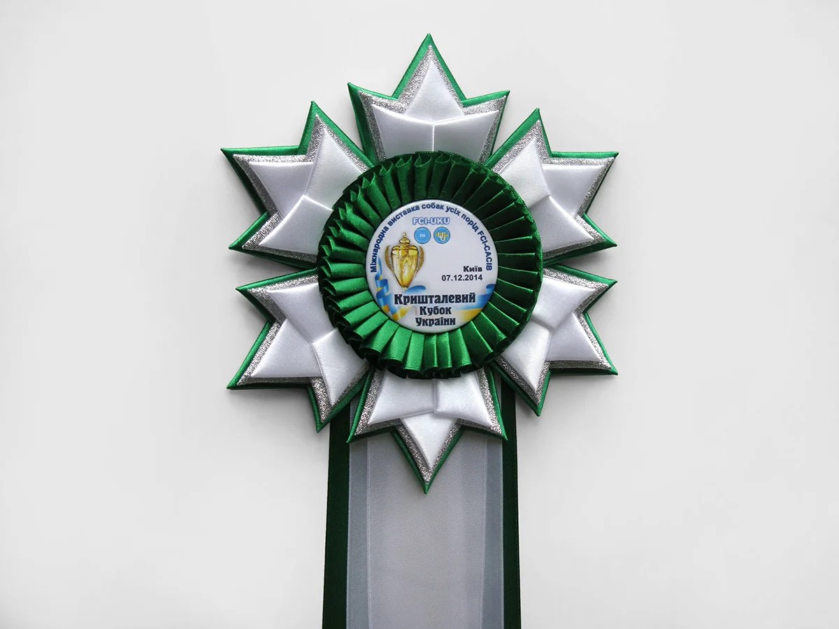 Наградная розетка Зима-4