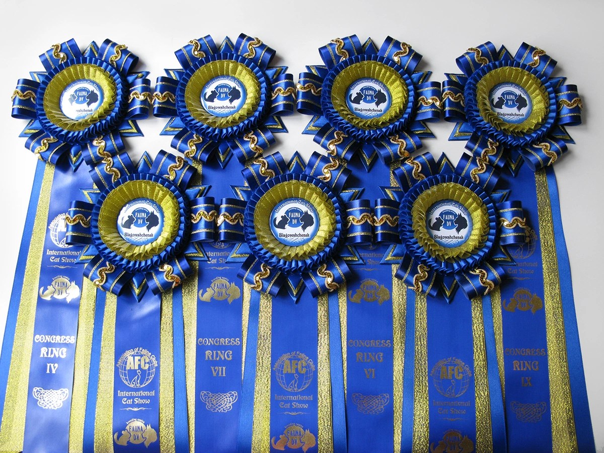 Наградная розетка Шахерезада-1 и -2