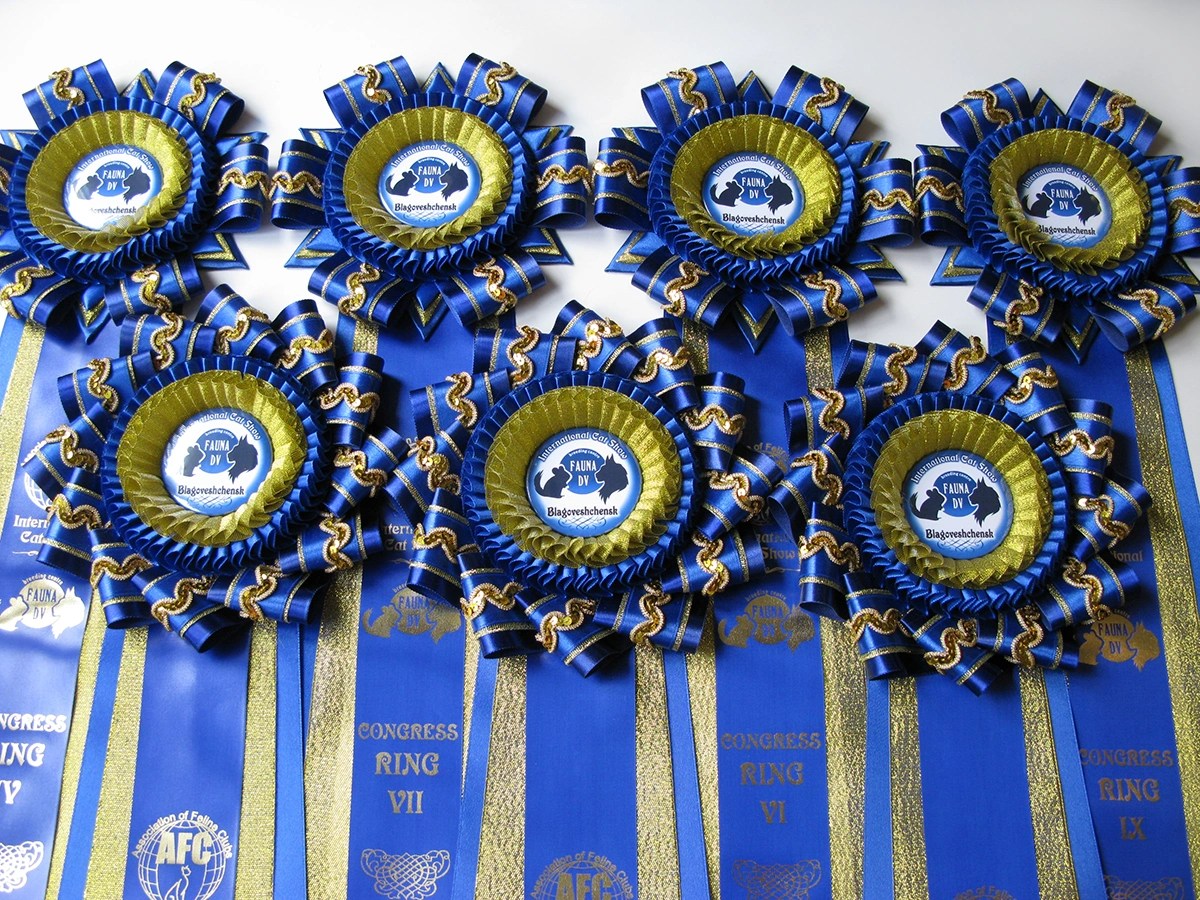 Наградная розетка Шахерезада-1 и -2