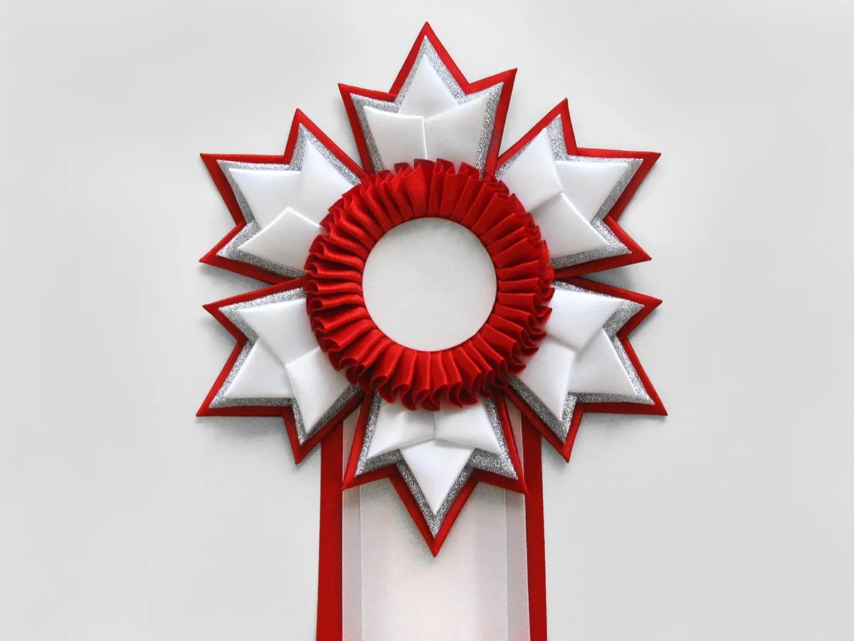 Наградная розетка Зима-4