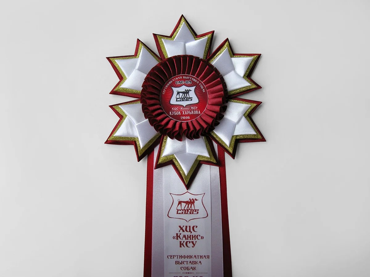 Наградная розетка Зима-4