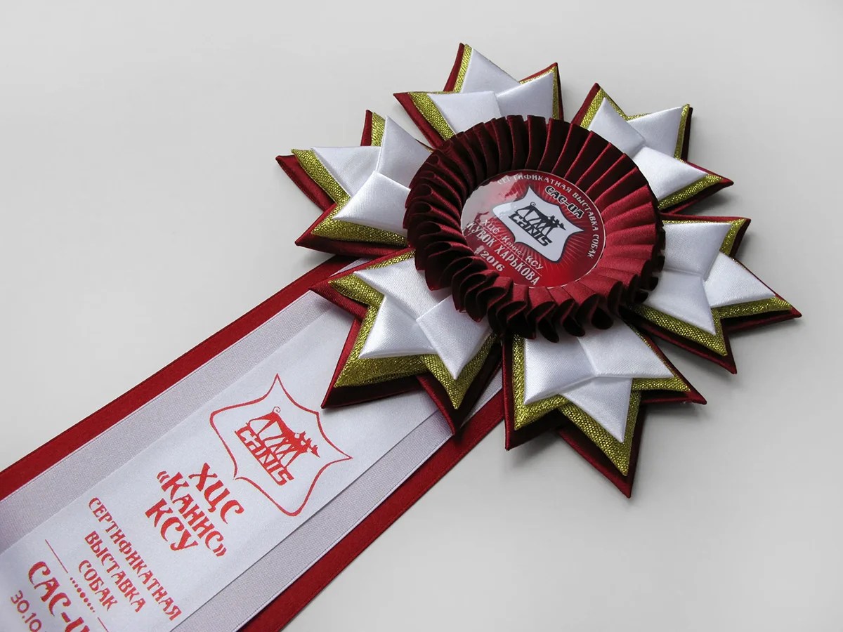 Наградная розетка Зима-4