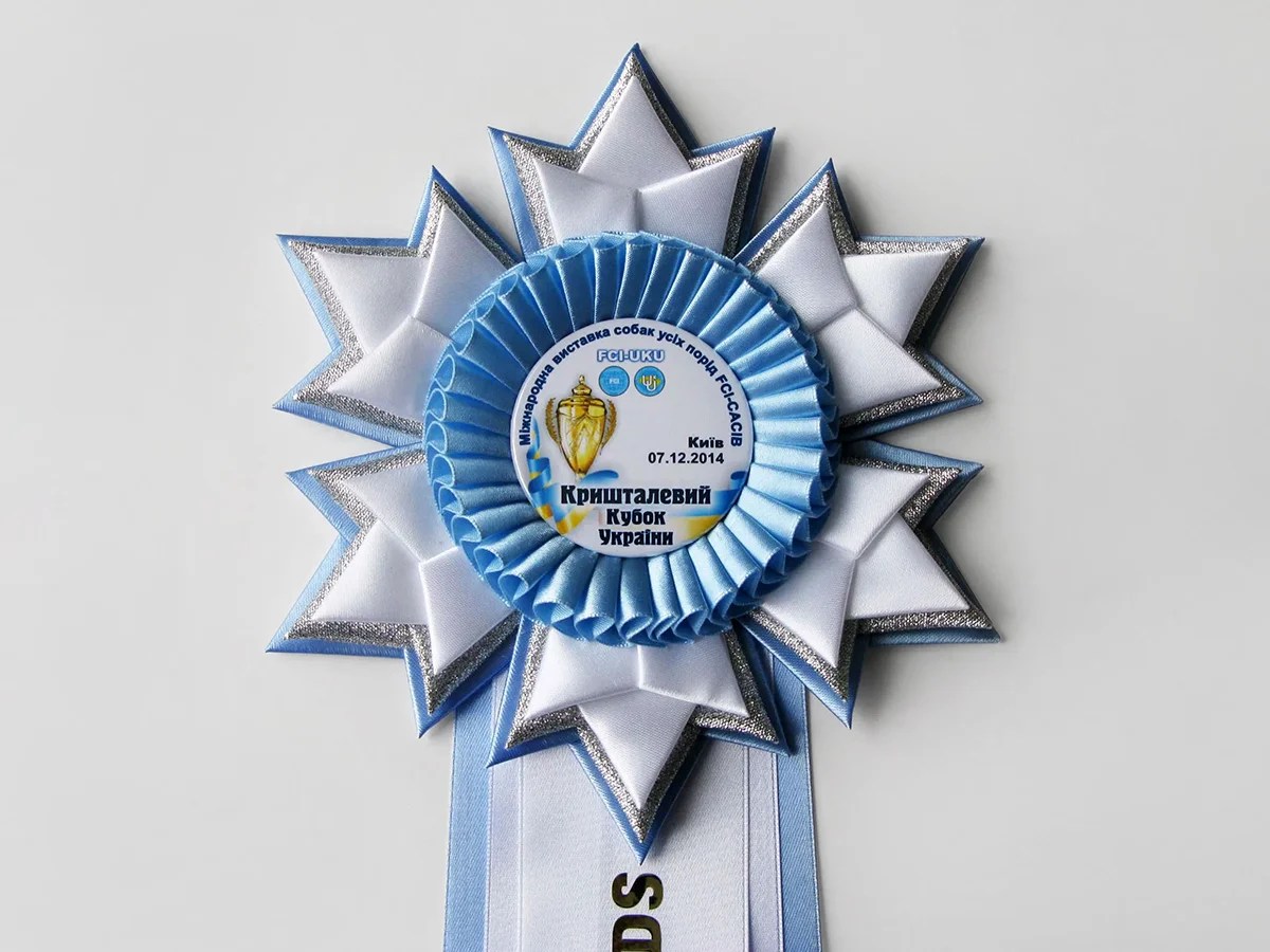 Наградная розетка Зима-4