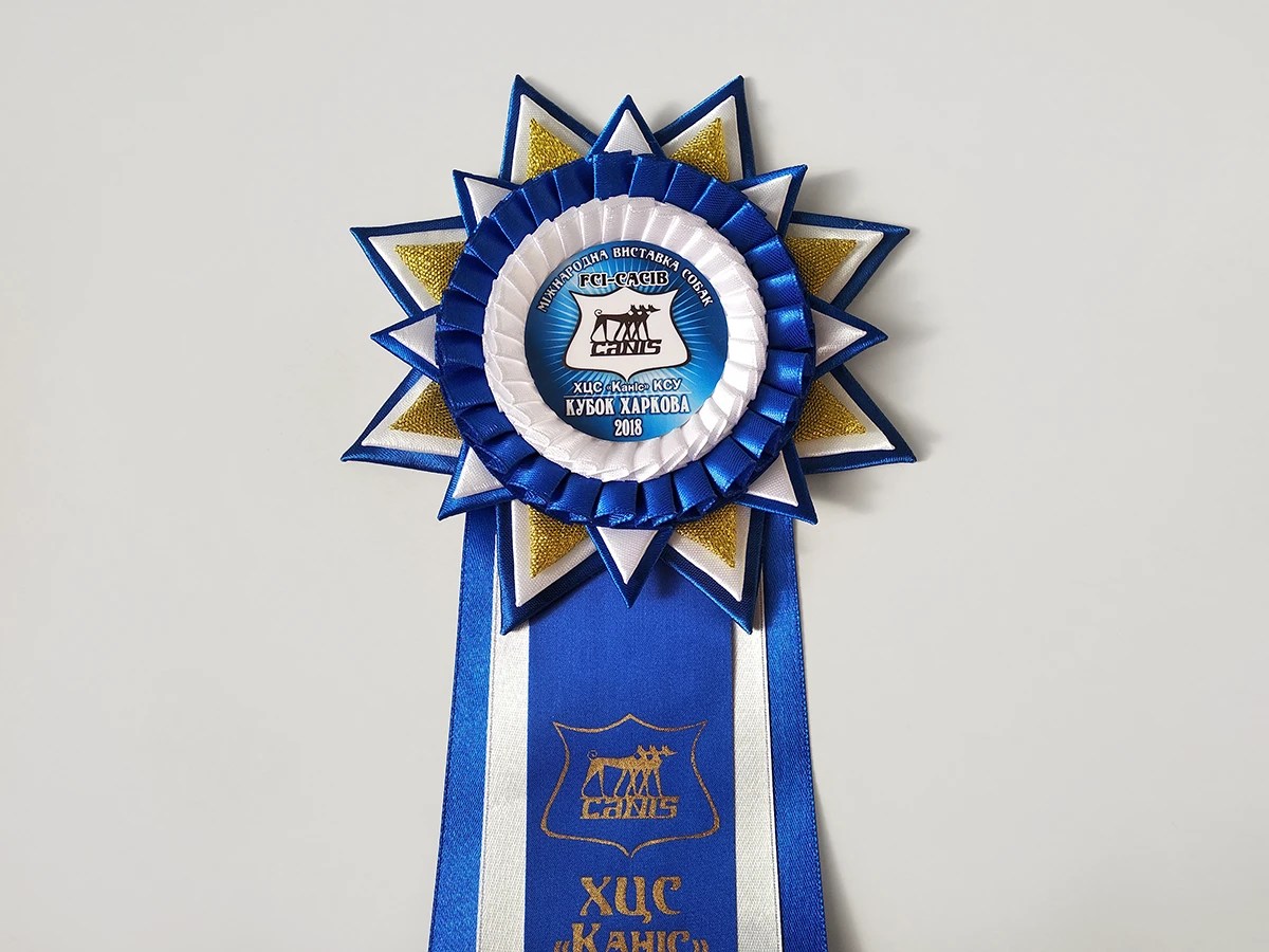 Наградная розетка Каприз+