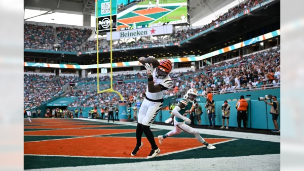 Dolphins vs Bengals Recap: Stock Up/Stock Down - Week 16 Analysis (2026)