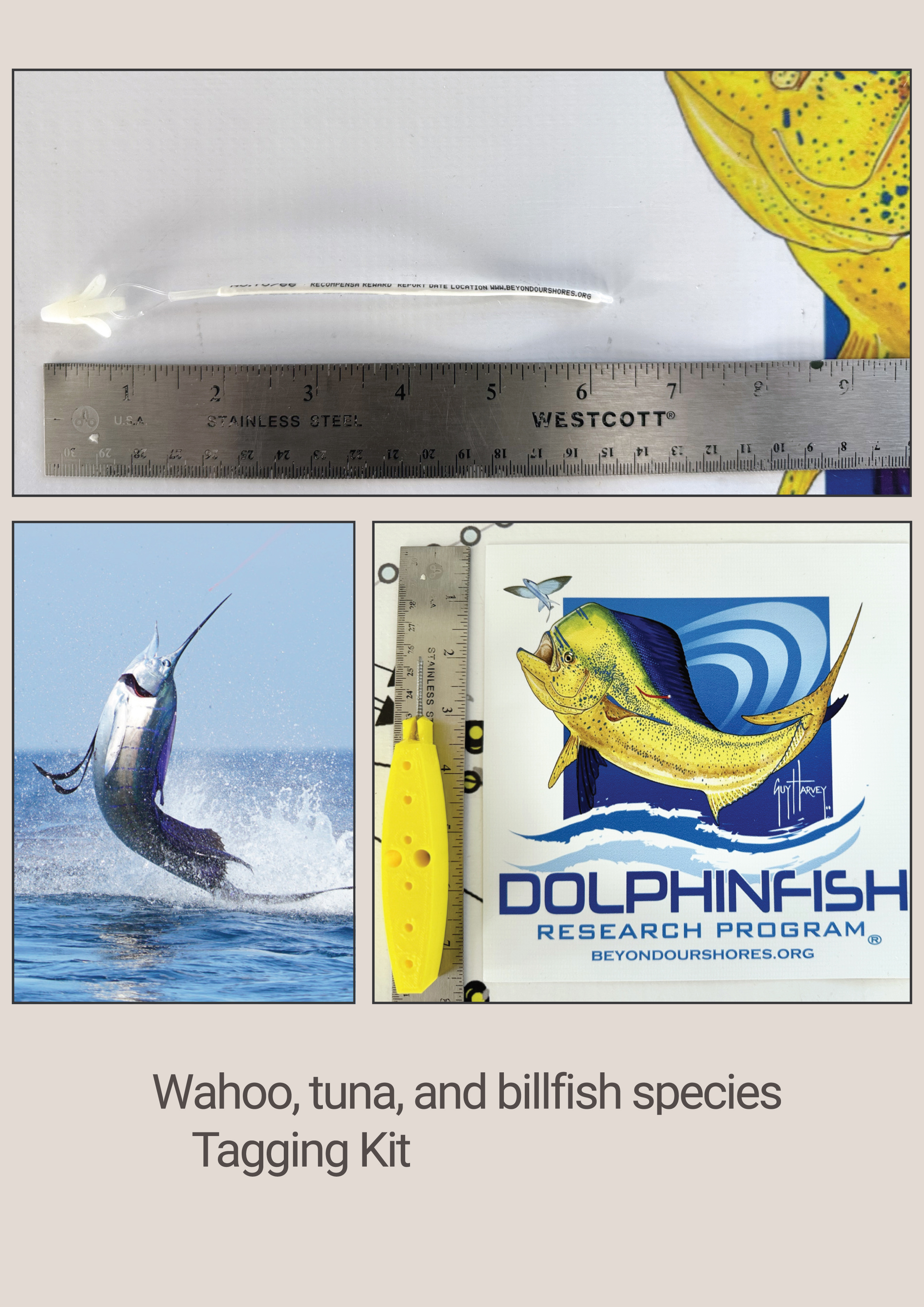 Additional Species - Dolphinfish Research Program Tagging Kit -   5 Tags for wahoo, tuna, billfish, or any other pelagic finfish - Image 2