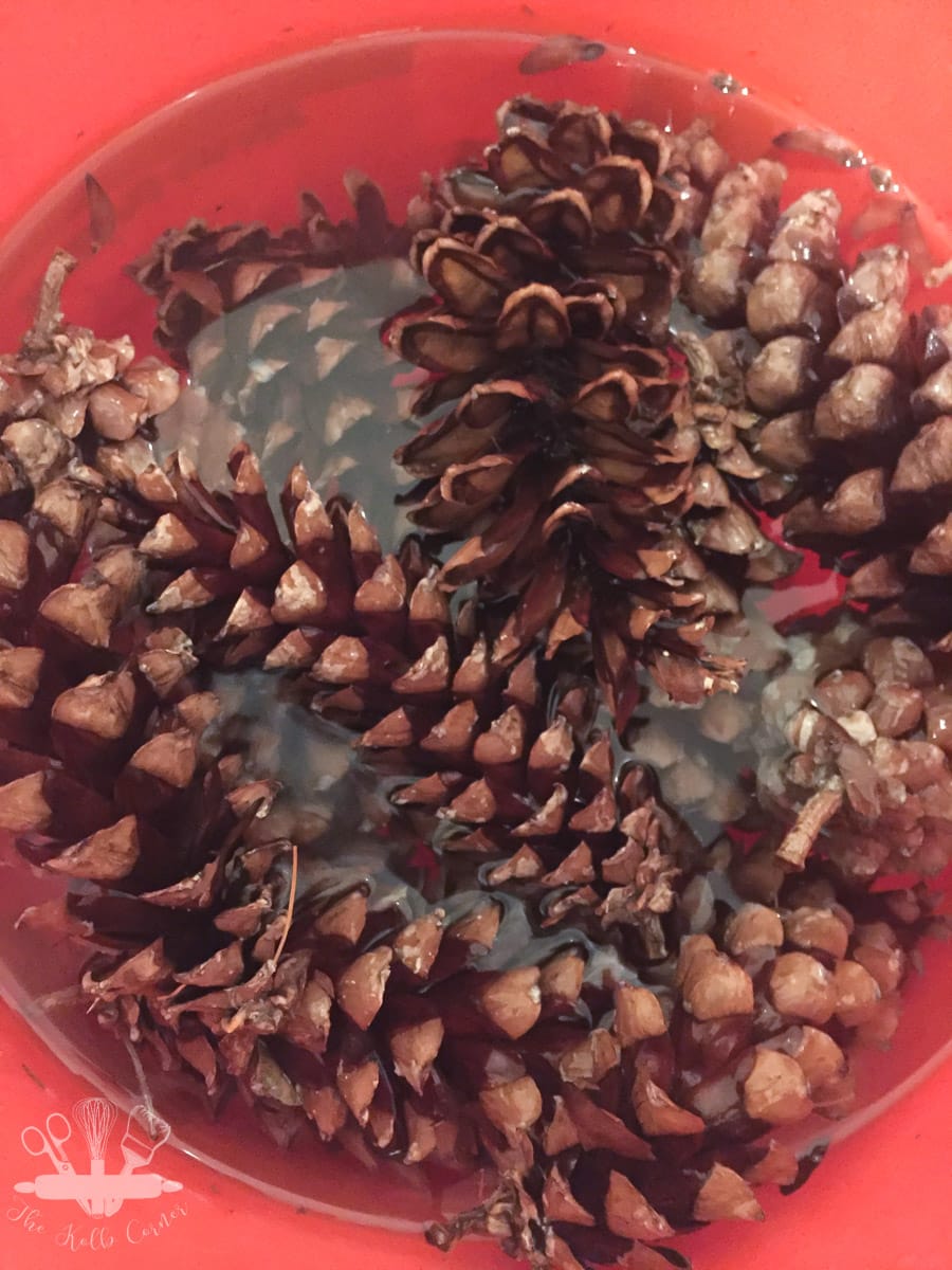 How To Clean and Preserve Pine Cones Domestically Creative jpg (900x1200)