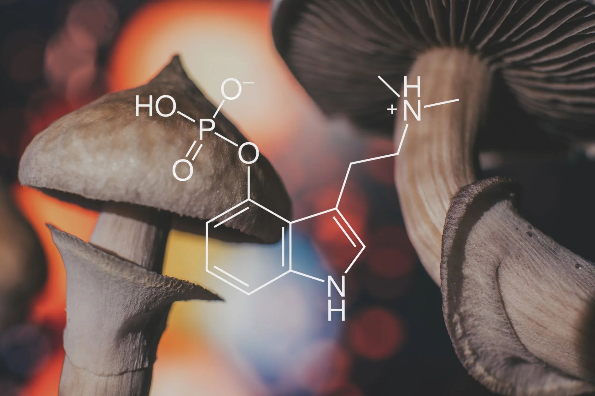 Buy psychedelics online