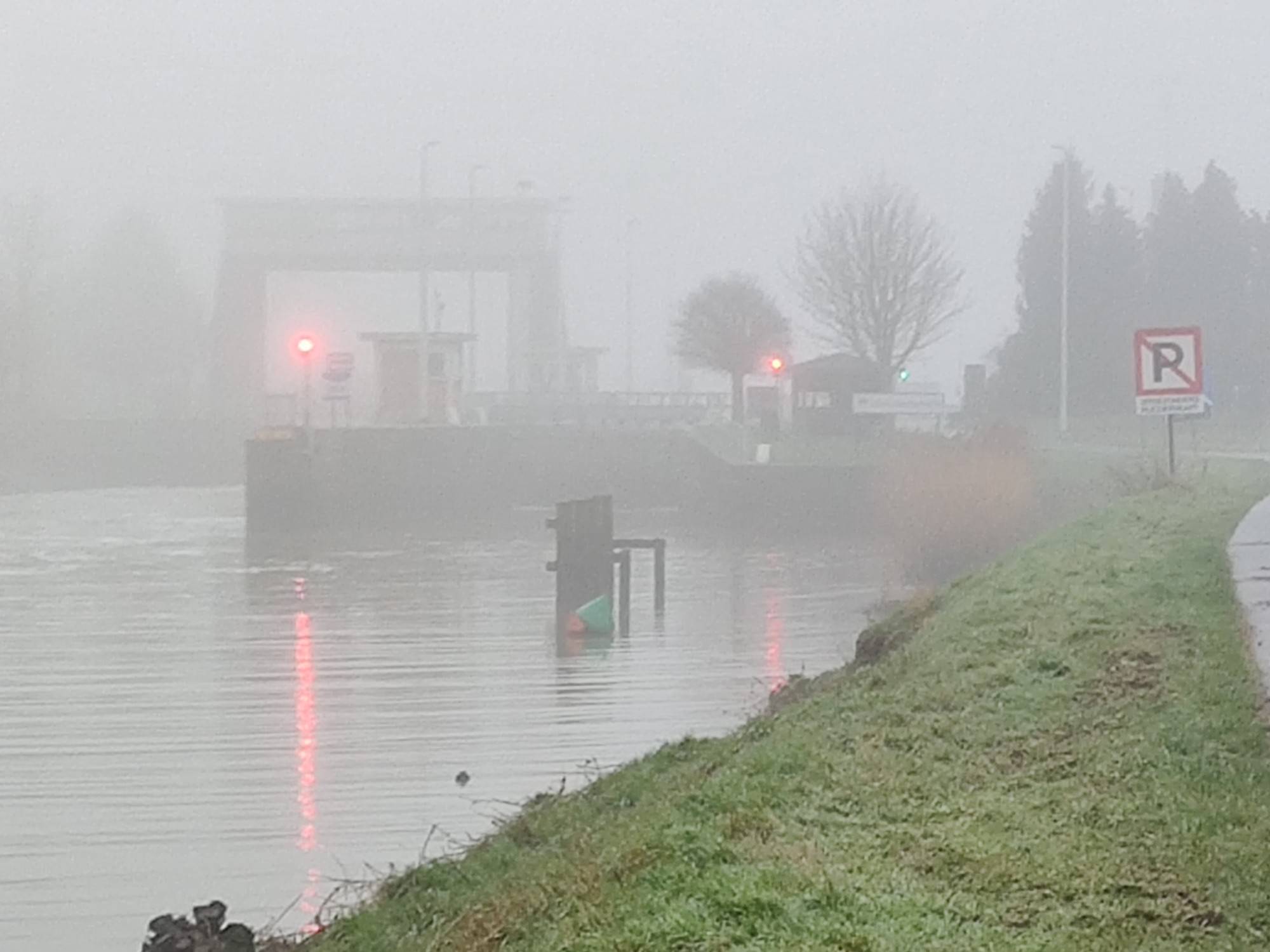 🥾 Bellebroekwegel in de mist - Denderbelle - Woensdag 12 januari 2022