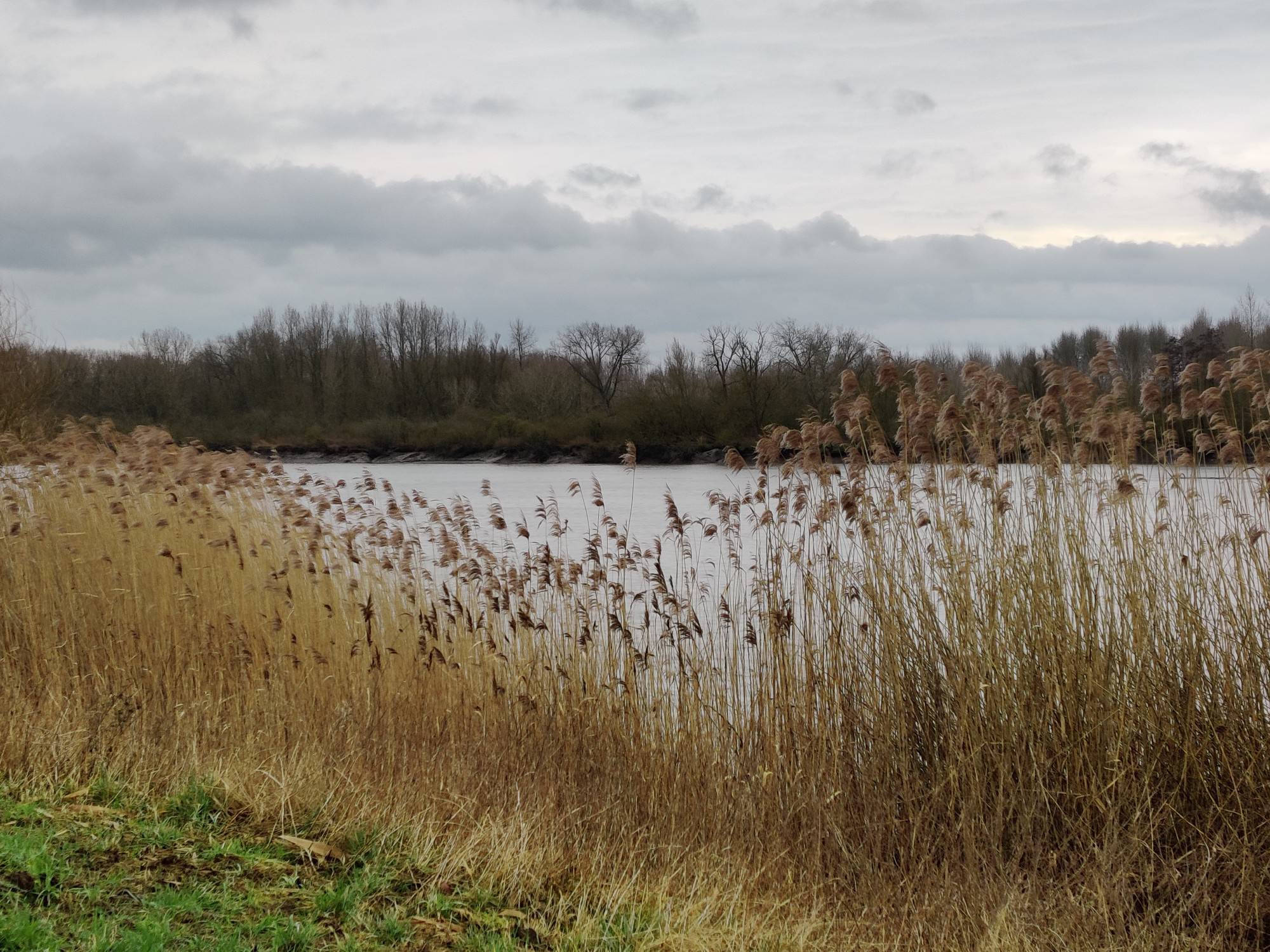 🥾Tussen Branst, Schelde en Weert – Dinsdag 1 februari 2022