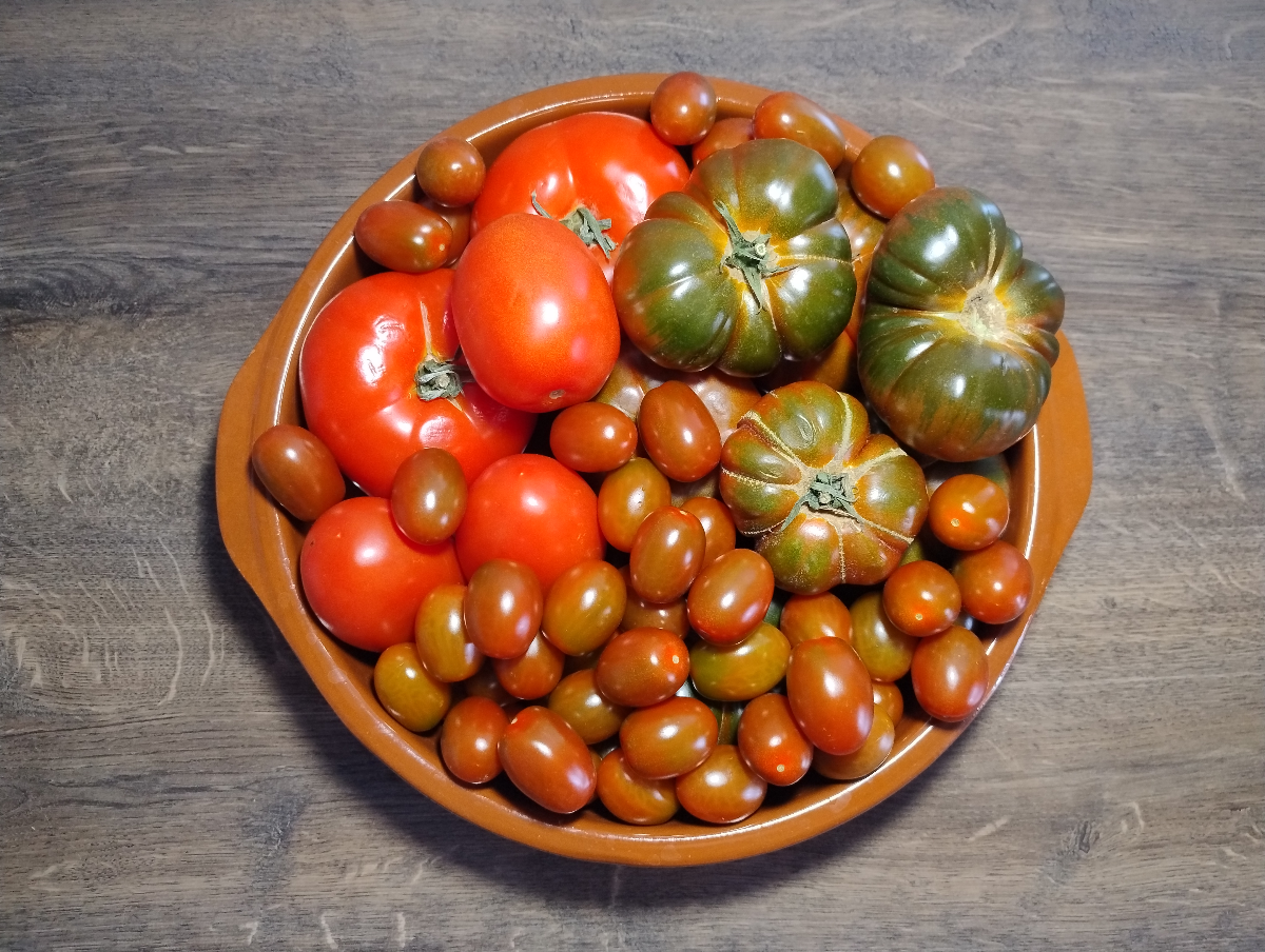 Tomate