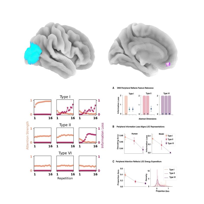 Preliumtarn - Premium Ocean Pattern Gallery - Desktop