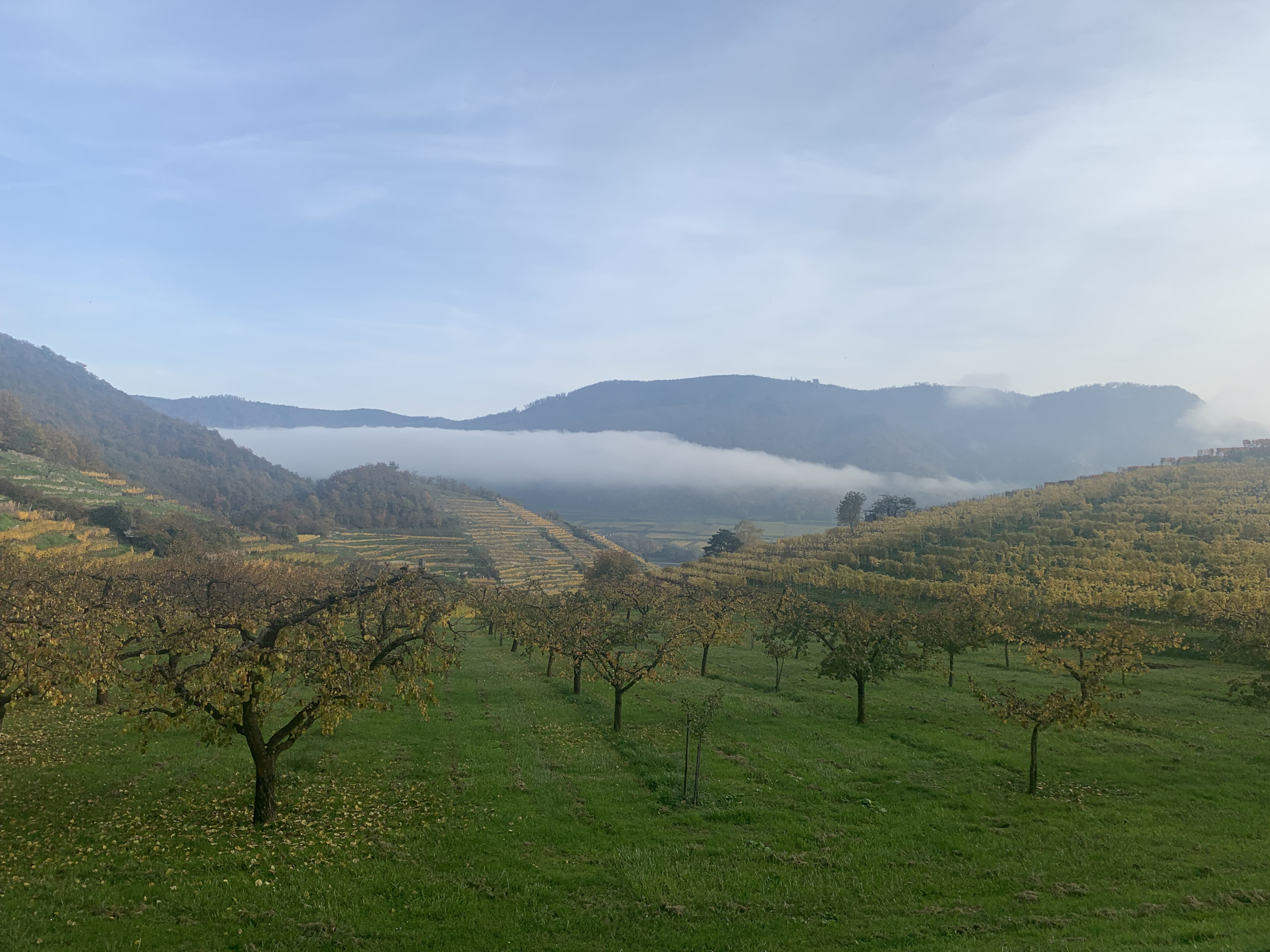 Herbst in der Wachau