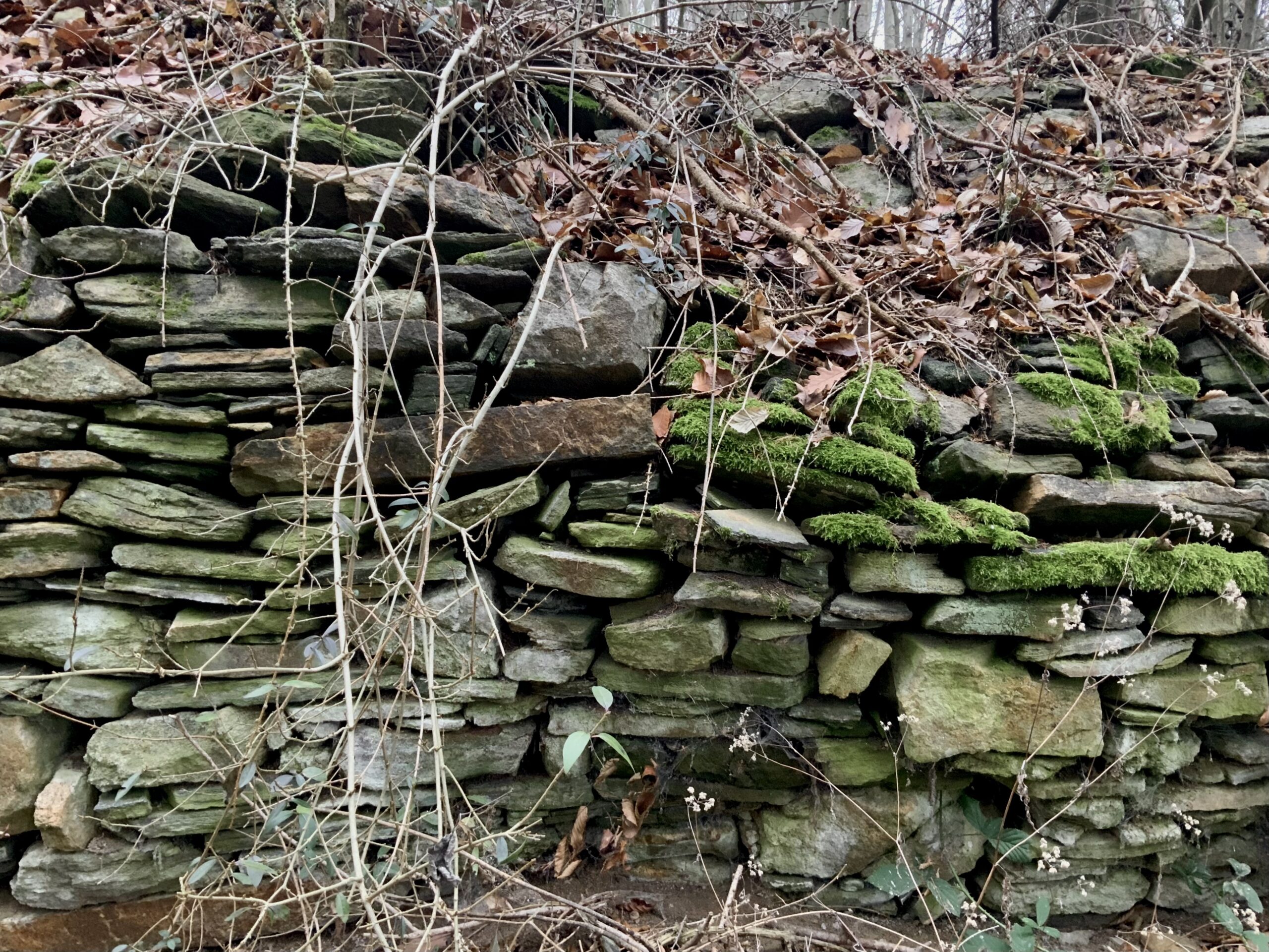 Das Aufschichten von losen Steinen ohne Mörtel gibt es seit der Jungsteinzeit. Auch in der Wachau sind die Trockensteinmauern mitunter hunderte Jahre alt. Nur so war der Weinbau an den steilen Hängen möglich. Durch den Aufbau von Terrassen wurde die zum Weinbau nutzbare Fläche außerdem vergrößert. Mauersteine wurden aus dem umliegenden Gestein gebrochen. Heutzutage stammt das Baumaterial oft von eingestürzten Trockenmauern.