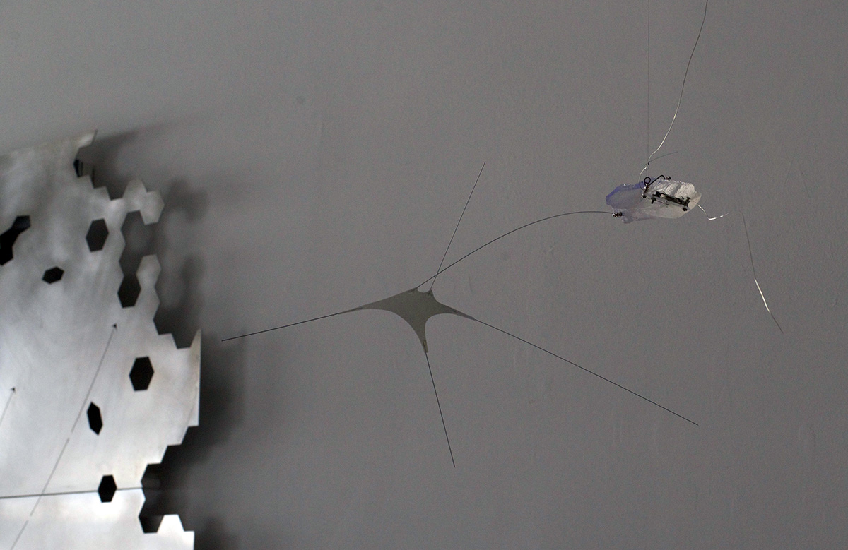 Approaching MassField-059ae