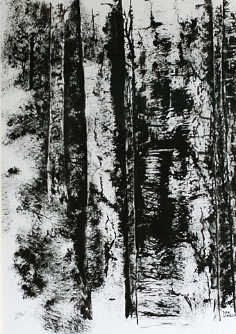Bw1 340x480