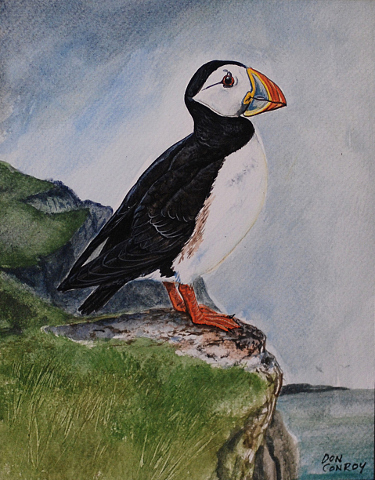 Puffin Scaled 2