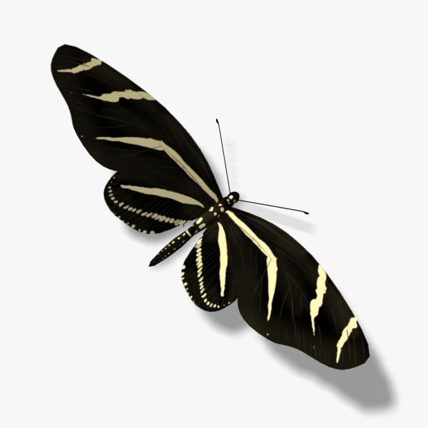 I need ideas on how i can make those i need a butterfly wired stand for a wedding. Zebra Butterfly 3d Model Download For Free