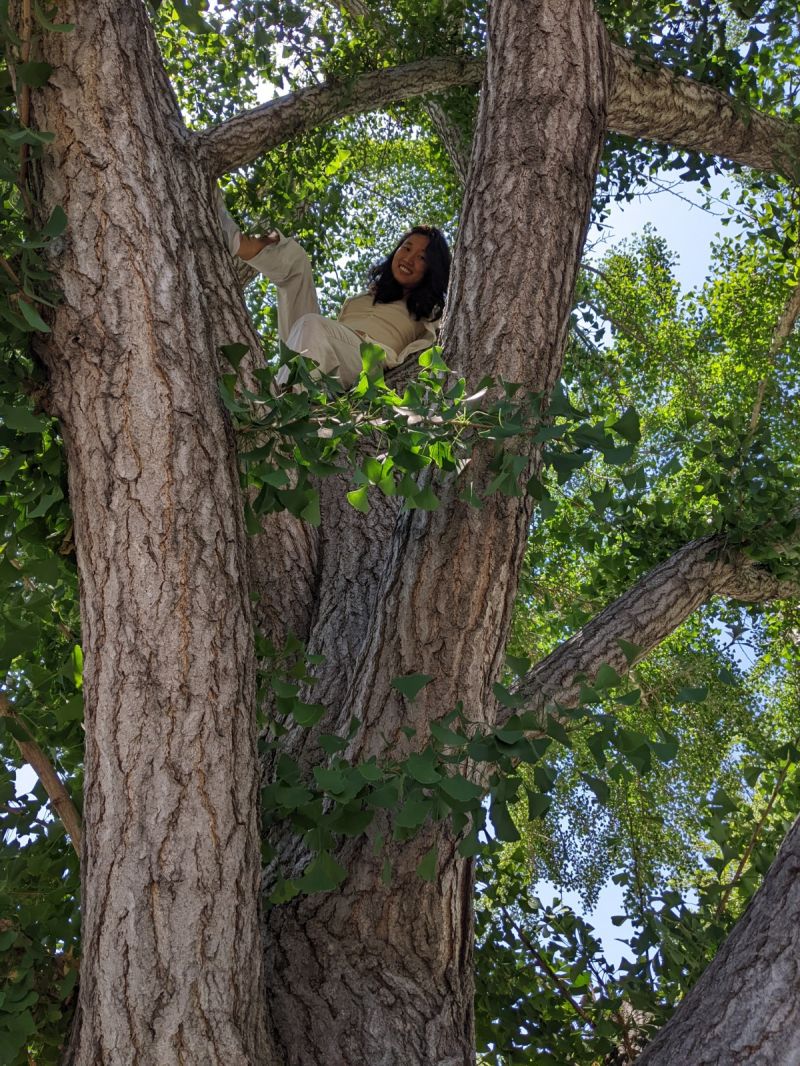 Dongzi Li - Download Amazing Space Texture | Full HD