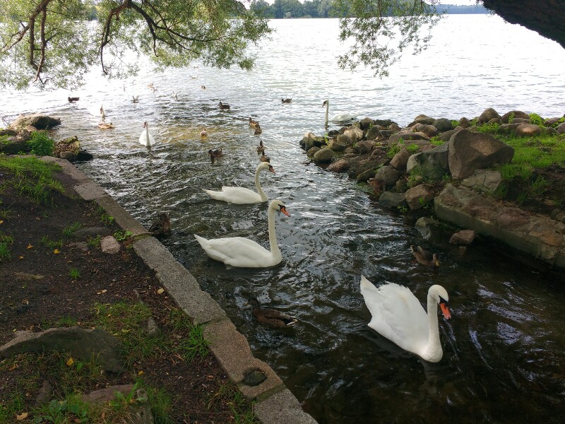 Am See
