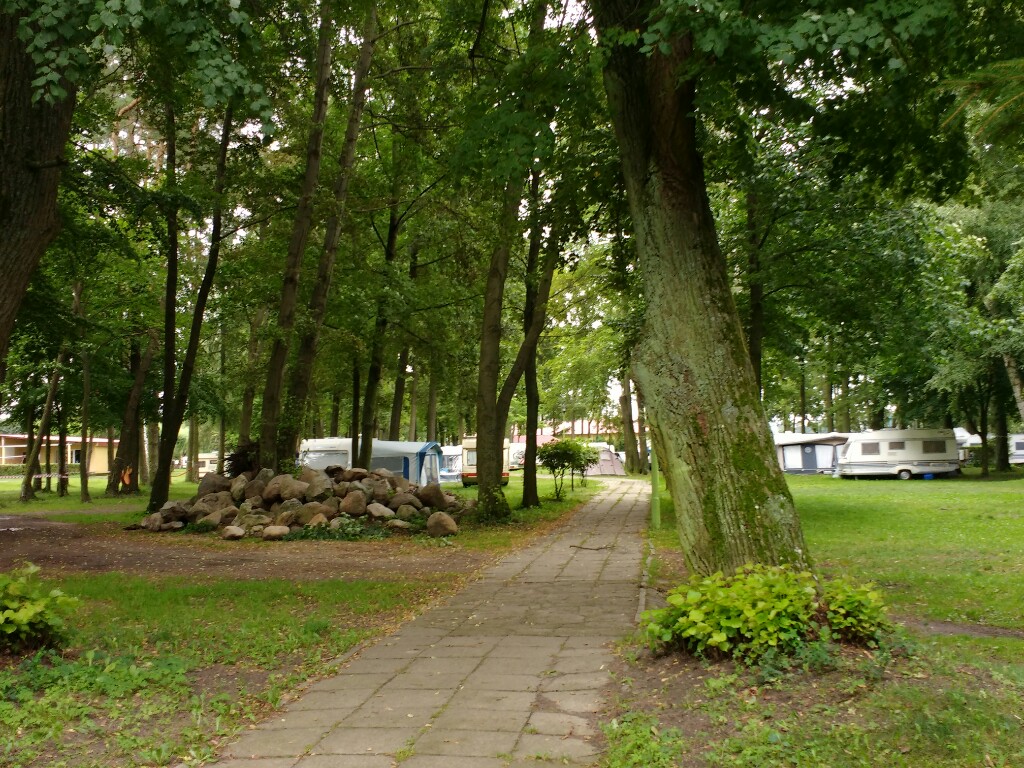 wp-1470483504094.jpg