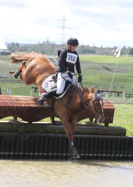 Balmoral Cougar Pedy produced to 2** eventing