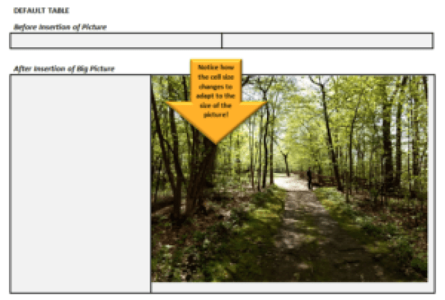 Word table cell resizing with default setting when picture inserted at donnasresources.com