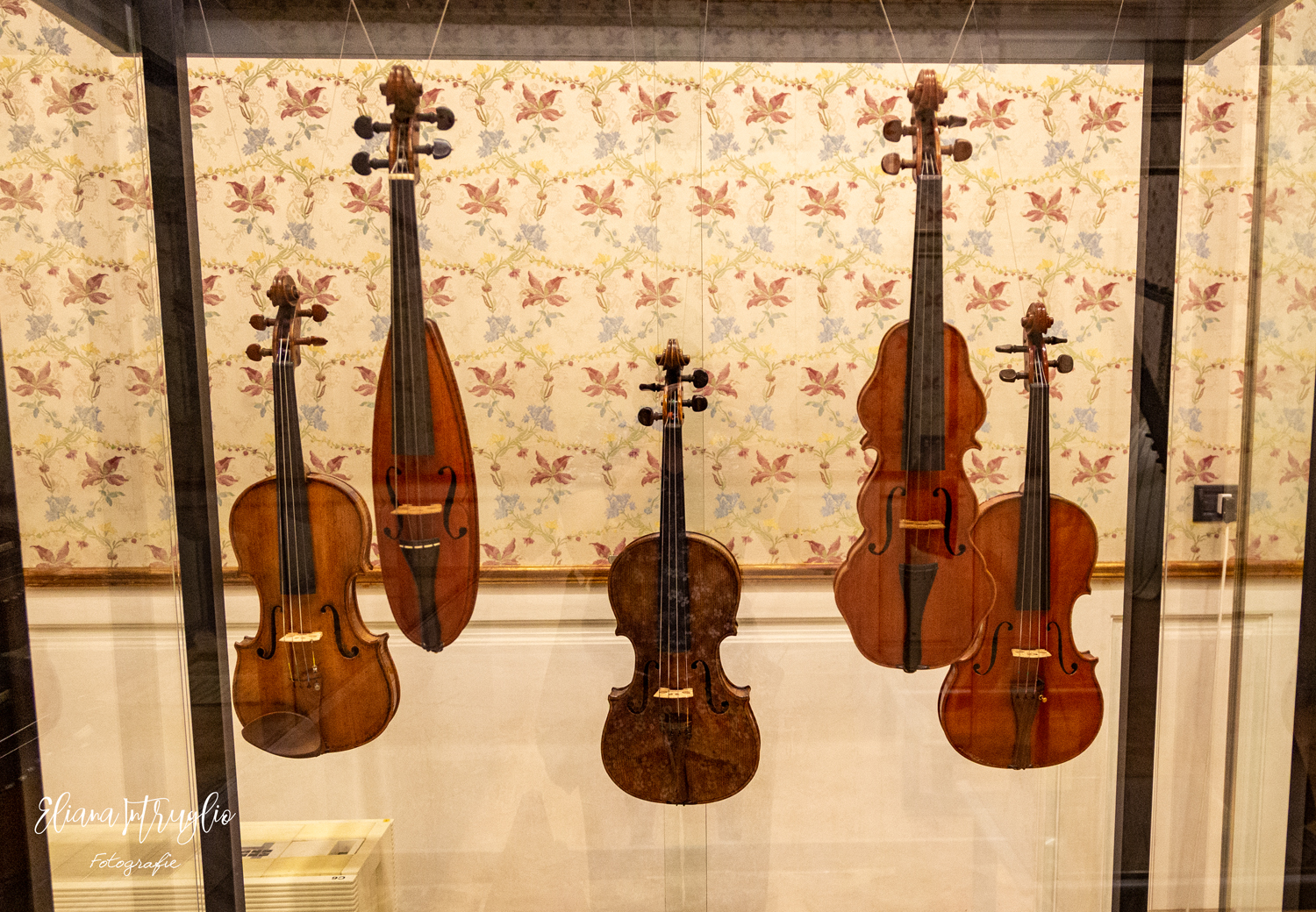 Alcuni strumenti ospitati nelle sale della musica