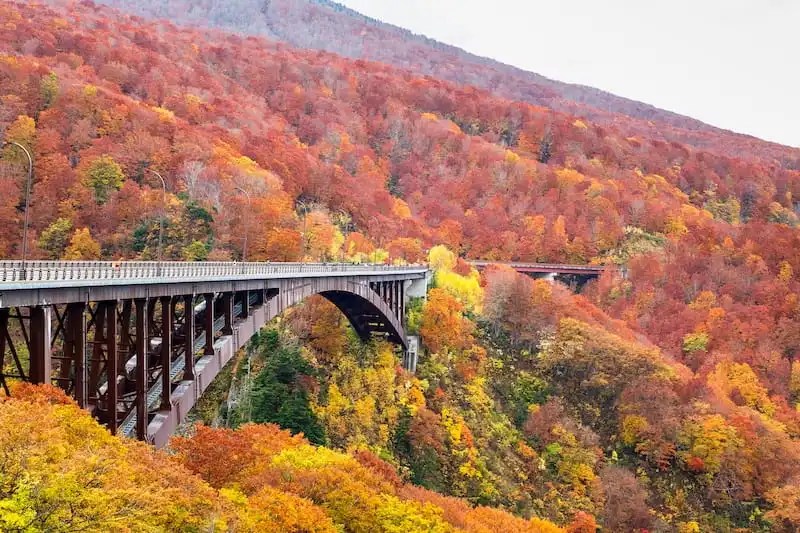The Jogakura Ohashi Bridge arches across a deep gorge in the Hakkoda mountains of Aomori Prefecture, framed by brilliant red and gold autumn foliage.