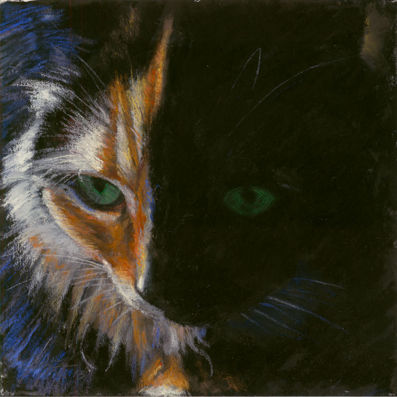 Lily by Western pastel landscape artist Don Rantz