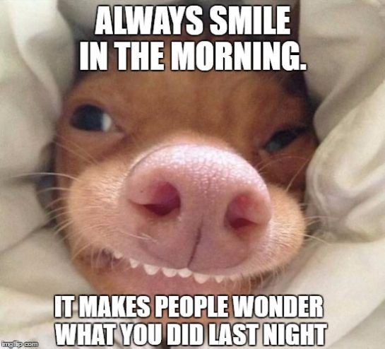 50 funny good morning memes to get your day started with a laugh