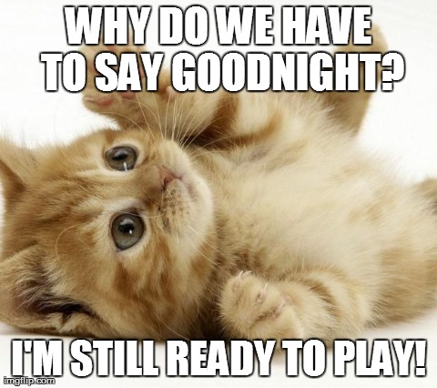 Sending funny good night quotes and messages is one of the best ways to wish your friends, boyfriend, girlfriend. 50 Good Night Memes To Bring A Smile On His Or Her Face