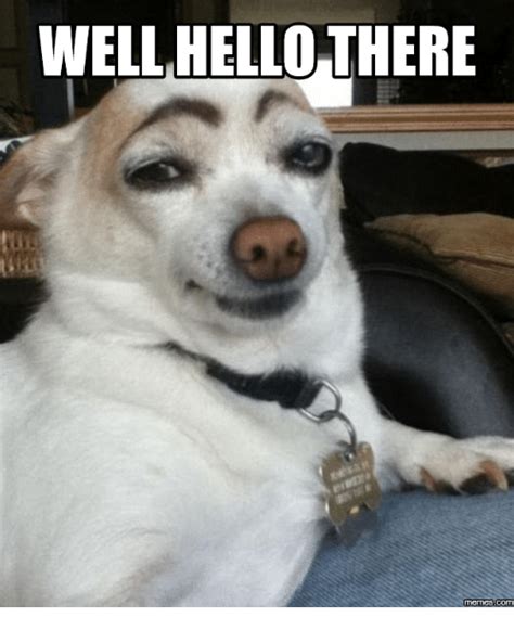 pix Hi Meme dontgetserious